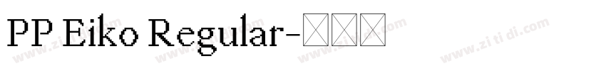 PP Eiko Regular字体转换 PP Eiko Regular字体转换